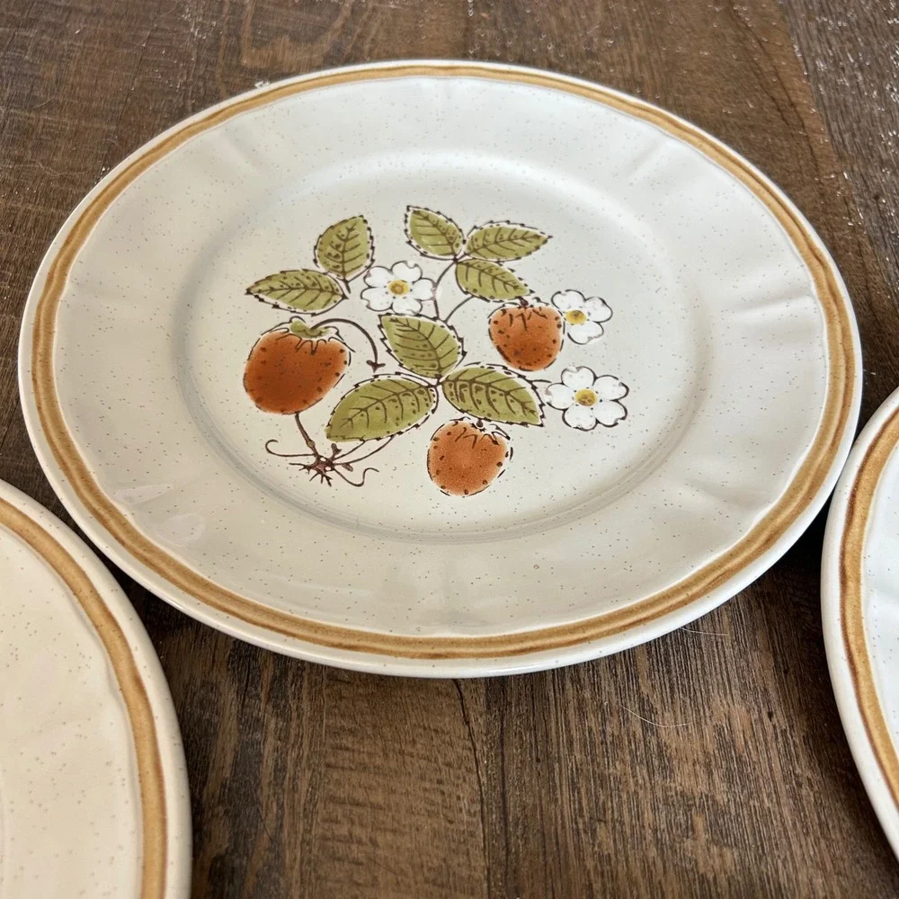 Americana Hearthside Berries n Cream Dinner Plates Set of 4 Stoneware Japan 10.5